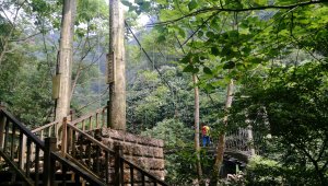 不會開車也能爬的山-獨立山步道攻略