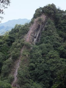 東勢格越嶺古道+慈恩嶺+普陀山+慈母峰+孝子山O型