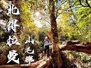 【北得拉曼】巨木🌲內鳥嘴山🍂黃金山毛櫸 🍁迴音谷🌈 David & Rebecca