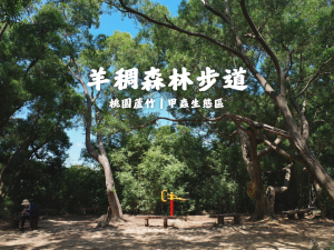 羊稠森林步道｜桃園平緩親民的森林山徑、夏季甲蟲生態區