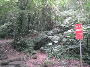 獅頭山-藤坪步道&萬佛庵步道