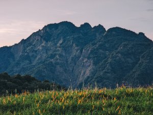 登山攝 #4 | 花東縱谷 - 六十石山金針花海