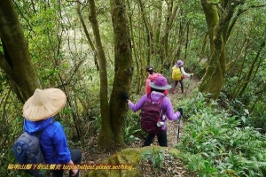 【新北市】白雞山