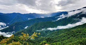 【中級山】觀霧榛山步道，榛山，榛山北峰