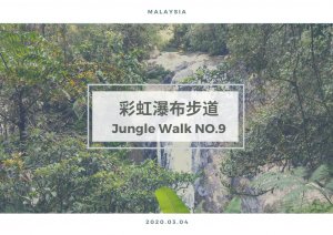 【馬來西亞】金馬崙高原｜彩虹瀑布步道 Trail 9