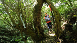 神主嶺連走八斗坑內古道