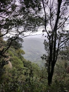 新竹竹東-五指山連峰