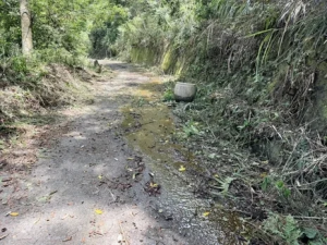 封閉近一年南投郡大林道 7 月底重啟！仍須面對落石、坍方考驗