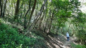 《新竹》竹林紙寮｜芎林文林古道O繞