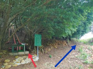 🔺台中/清水/橫山，H135m (台中港三角點 | 第22號)