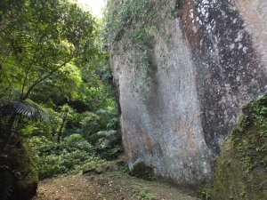 烏月山步道-烏月山-烏月路41巷O型