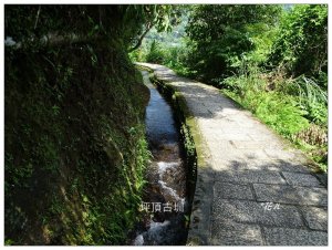 士林/坪頂古圳步道