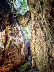 墾丁 國家森林遊樂區 社頂自然公園 鵝鑾鼻公園 船帆石 出火