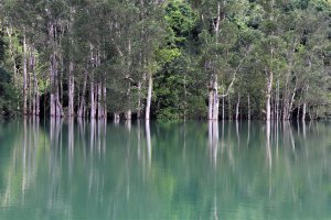 香港山系 － 九龍 • 新界