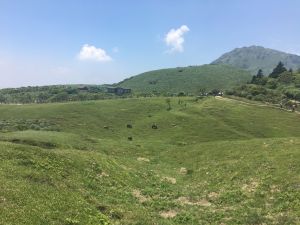 風櫃嘴-頂山-石梯嶺-擎天崗