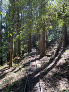 加里山大P型縱走(鹿場登山口進出)