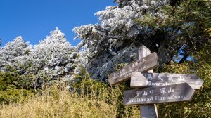 雪季一日單攻志佳陽大山