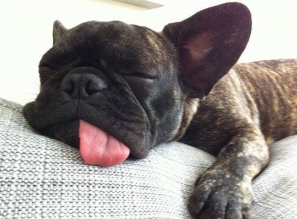 看看Little G的個人專頁