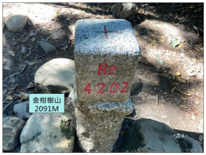 嶺頭山、金柑樹山、忘憂森林 O型一圈