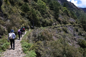 八通關古道X玉山前峰～年輕人爬山趣
