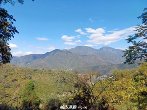 【南投埔里】天旨宮鰲頭山步道x虎頭山鯉魚潭步道x虎頭山觀景平台連走