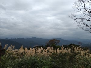 【小百岳14】土庫岳完成