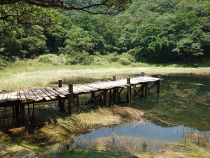 尖四縱走、新山夢湖(schedule)