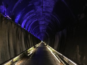 Gong Wei Xu tunnel