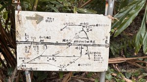 南勢角山 柴埕步道上