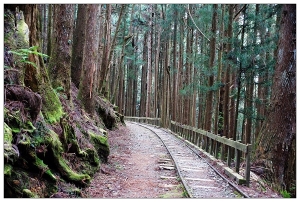 千里之行始於足下＊特富野古道～森呼吸＊