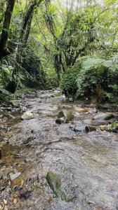 20250803枋山坑古道