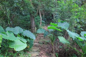 士林圓山水神社.劍潭山.老地方O型