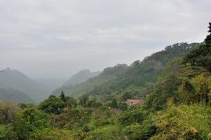 鳴鳳山古道