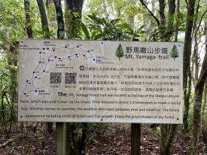 新竹 五峰 雪霸休閒農場 野馬瞰山步道