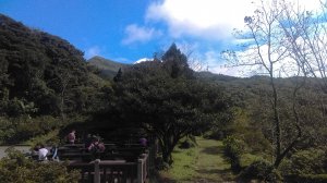 林相優美的菜公坑山、枕頭山、大屯自然公園