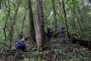 新竹尖石鄉 煤源社區上李棟山、大混山出凌空廊道