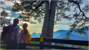 【馬崙山】松樹媽媽登山口-谷關七雄老二-最美林相~號稱有五星級林相的登山步道。