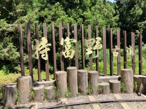 特富野古道(自忠).投信義-嘉阿里山