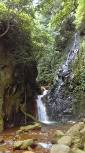 【臺北親山拓印趣】天母古道、翠峰瀑布