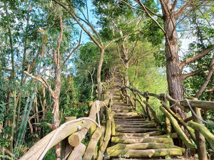 【台中北屯】第一次遇上大坑步道群起霧。 大坑三號步道
