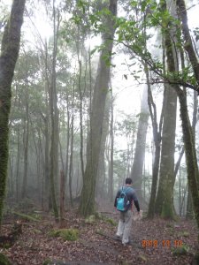 稍來小雪山步道