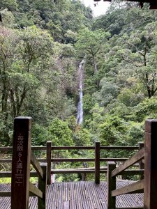 新竹 五峰 觀霧國家森林遊樂區 觀霧瀑布步道+賞鳥步道