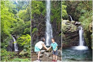 【南投埔里】觀音瀑布步道、觀音吊橋---埔霧三瀑之一/內外雙層瀑布/蝴蝶步道