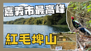 【登山的人】鄰近市區交通便利，森林浴的好去處，小百岳紅毛埤山