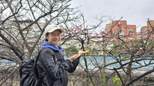 2025樂活夜櫻季搶先看，內湖樂活公園夜櫻季明天熱鬧登場，沿內溝溪3公里近距離欣賞寒櫻、昭和櫻、吉野