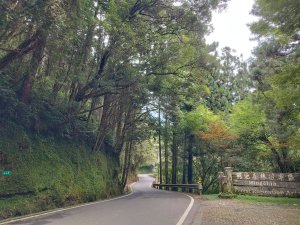 [宜蘭大同][三]婆羅山、旗山、旗山東峰、旗山主峰(繃繃山東、梵梵山東)、棲蘭、棲蘭山(百韜橋)