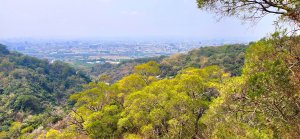 視野一望無際，台中聚興山，新田登山步道