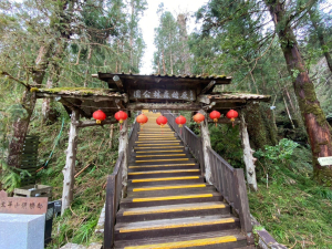 檜木原始林步道 (中午)