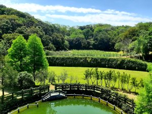 蔗香、山影與橘醬｜在寶山新城，撞見一場「風」的慢時光