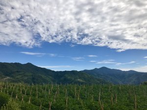 新竹尖石鄉-屯野生台山、石麻達山連走